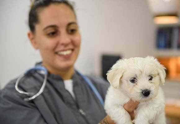 20220424-0925405-microchip-ste